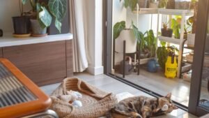 Desain Rumah Ramah Hewan