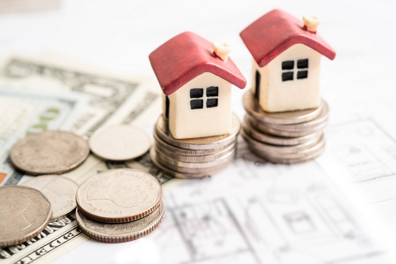 Surveyor dan Adjuster: