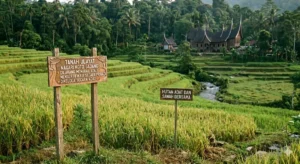 Apa Itu Tanah Ulayat dan Bagaimana Status Hukumnya?